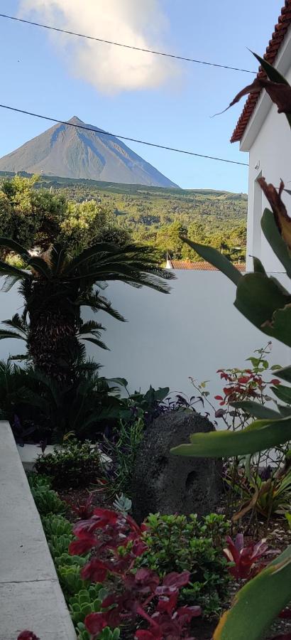 Casa Da Avo Biza Villa Sao Roque do Pico Exterior photo
